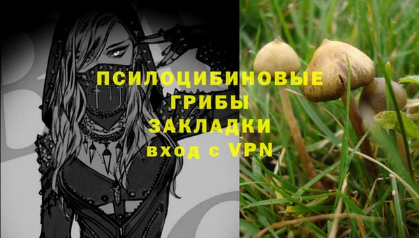 а пвп мука Абдулино