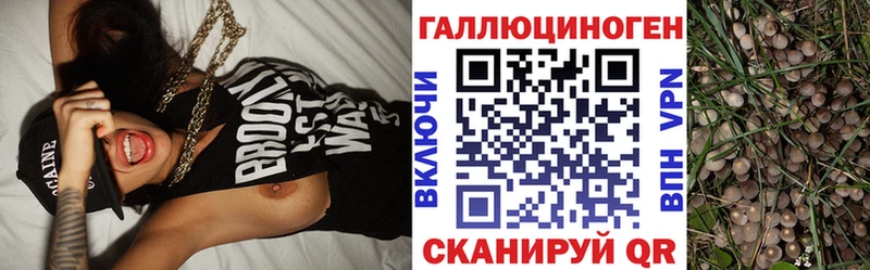 как найти закладки Фурманов гидра как зайти shop какой сайт Галлюциногенные грибы GOLDEN TEACHER
